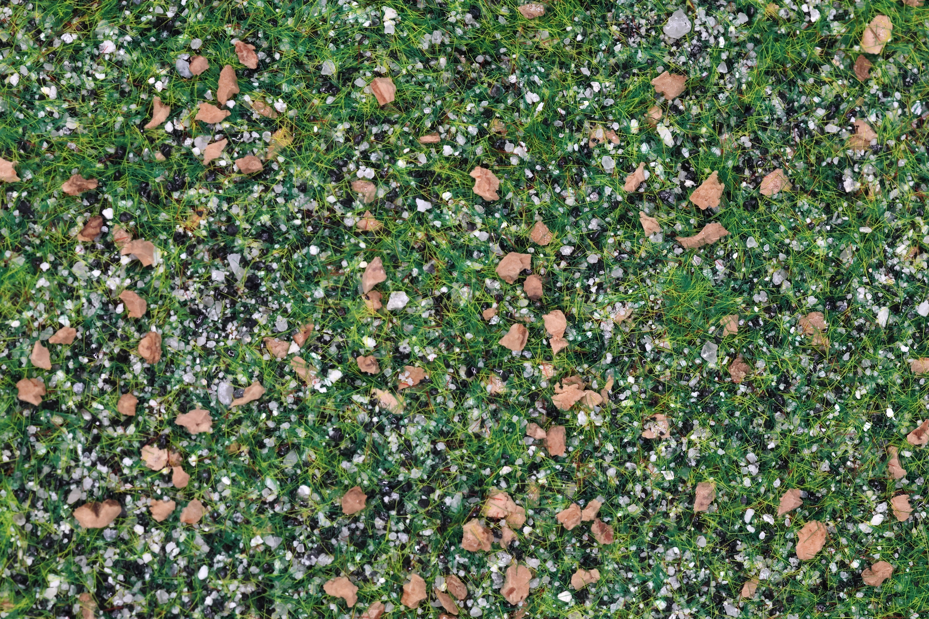 Base Ready Taiga Hillside