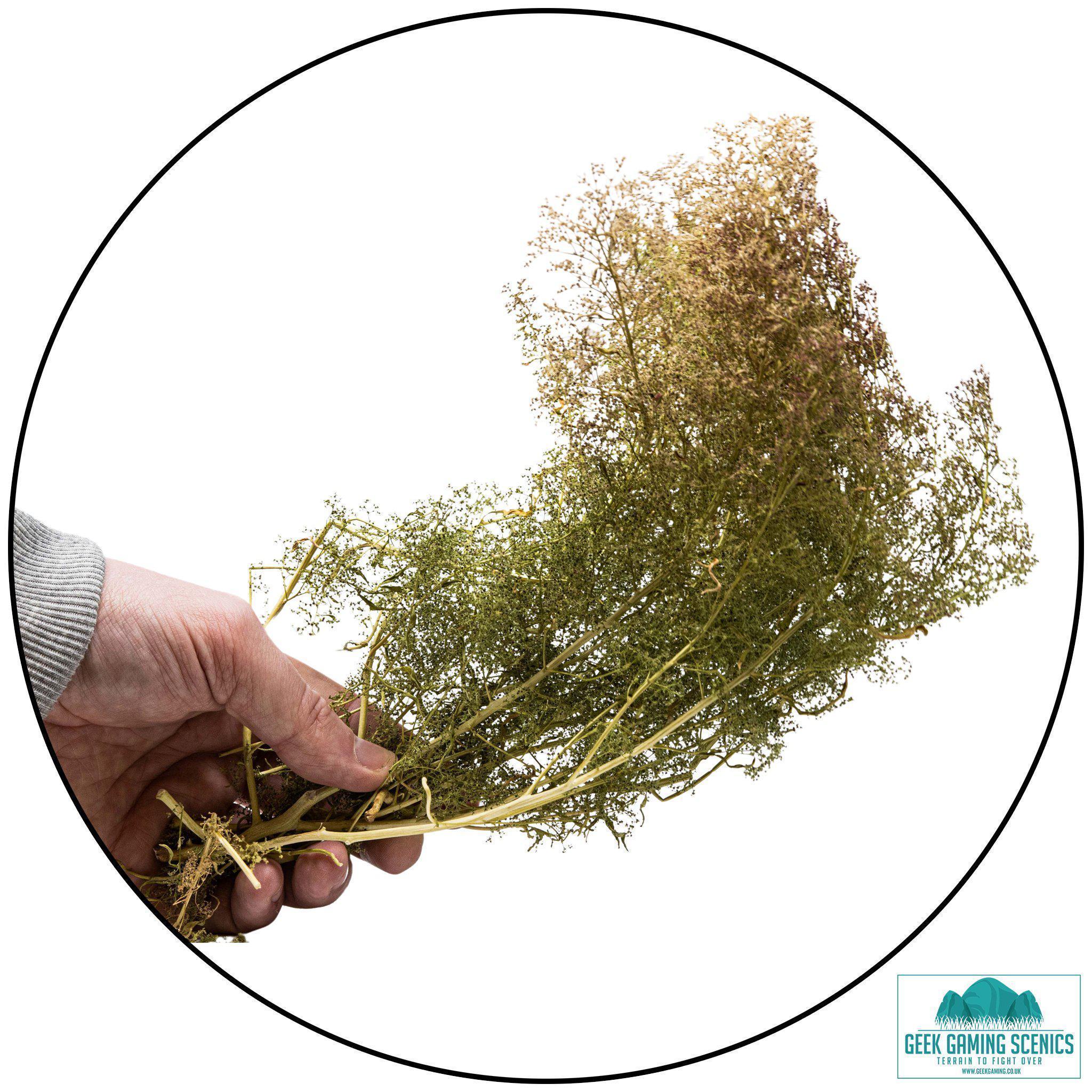 Terrain Ready Trees - Sea Foam Trees (Teloxys Aristata)