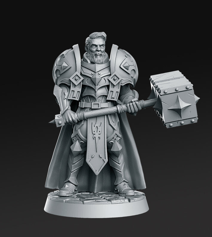 The Royal Guard Miniatures | Fantasy Miniature | RN Estudio