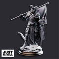 The Captain Tiefling Veteran Soldier - 3D Printed Fighter Character Miniature