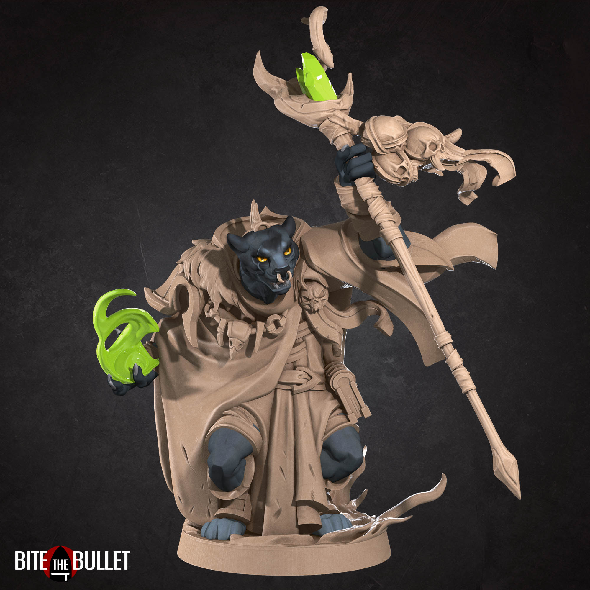 Warlock | Tabaxi | Fantasy Miniature | Bite the Bullet