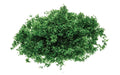 Hornby SkaleScenics R7163 Flock - Dark Green