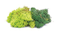 Hornby SkaleScenics R7194 Lichen - Green Mix