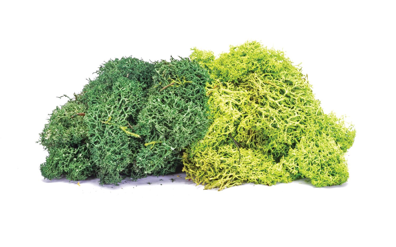 Hornby SkaleScenics R7195 Lichen - Large Green Mix
