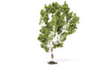 Hornby SkaleScenics R7215 Birch Tree