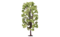 Hornby SkaleScenics R7221 Lime Tree