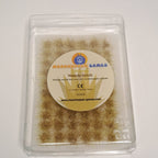 Grasses - Weedy Scrub