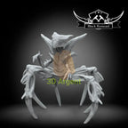 A Shadow Babylon 5 - Stargrave D&D 3D Printed Resin Miniatures