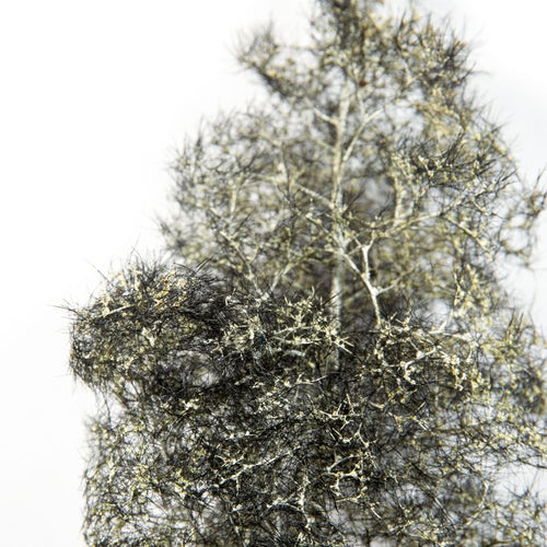 AK Interactive Black-White Fantasy Bushes 1/35 AK8265