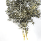 AK Interactive Black-White Fantasy Bushes 1/35 AK8265