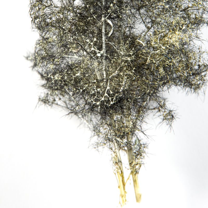 AK Interactive Black-White Fantasy Bushes 1/35 AK8265