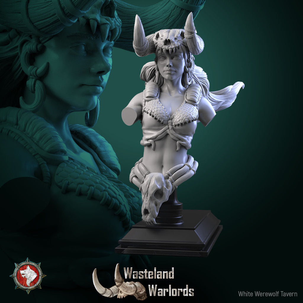Dungeons and Dragons Models - Wasteland Warlords - Set by White Werewolf Tavern
