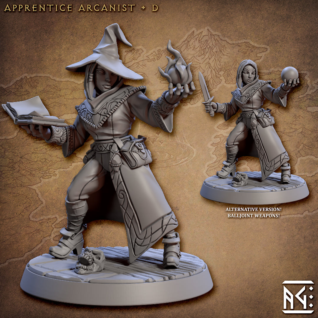 Apprentice Arcanist Miniatures | Arcanist Guild | Fantasy D&D Miniature | Artisan Guild