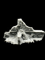 Small Infected Ruins Terrain Sci Fi Tabletop Scenery 3D Printed 3 pcs