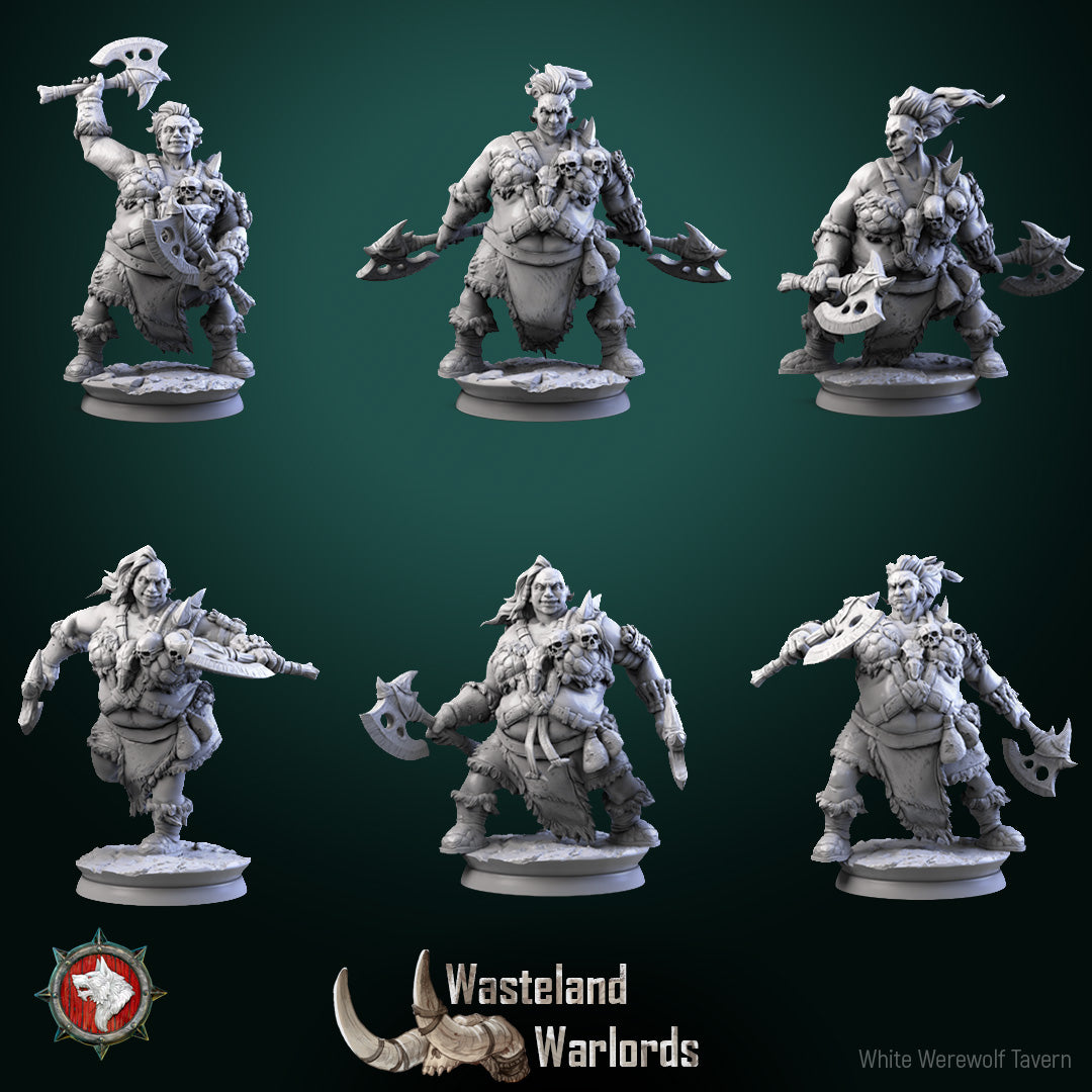 Dungeons and Dragons Models - Wasteland Warlords - Set by White Werewolf Tavern