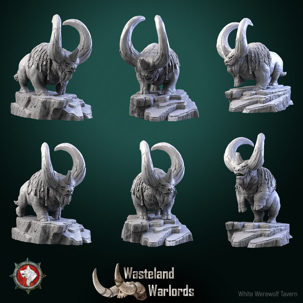 Dungeons and Dragons Models - Wasteland Warlords - Set by White Werewolf Tavern