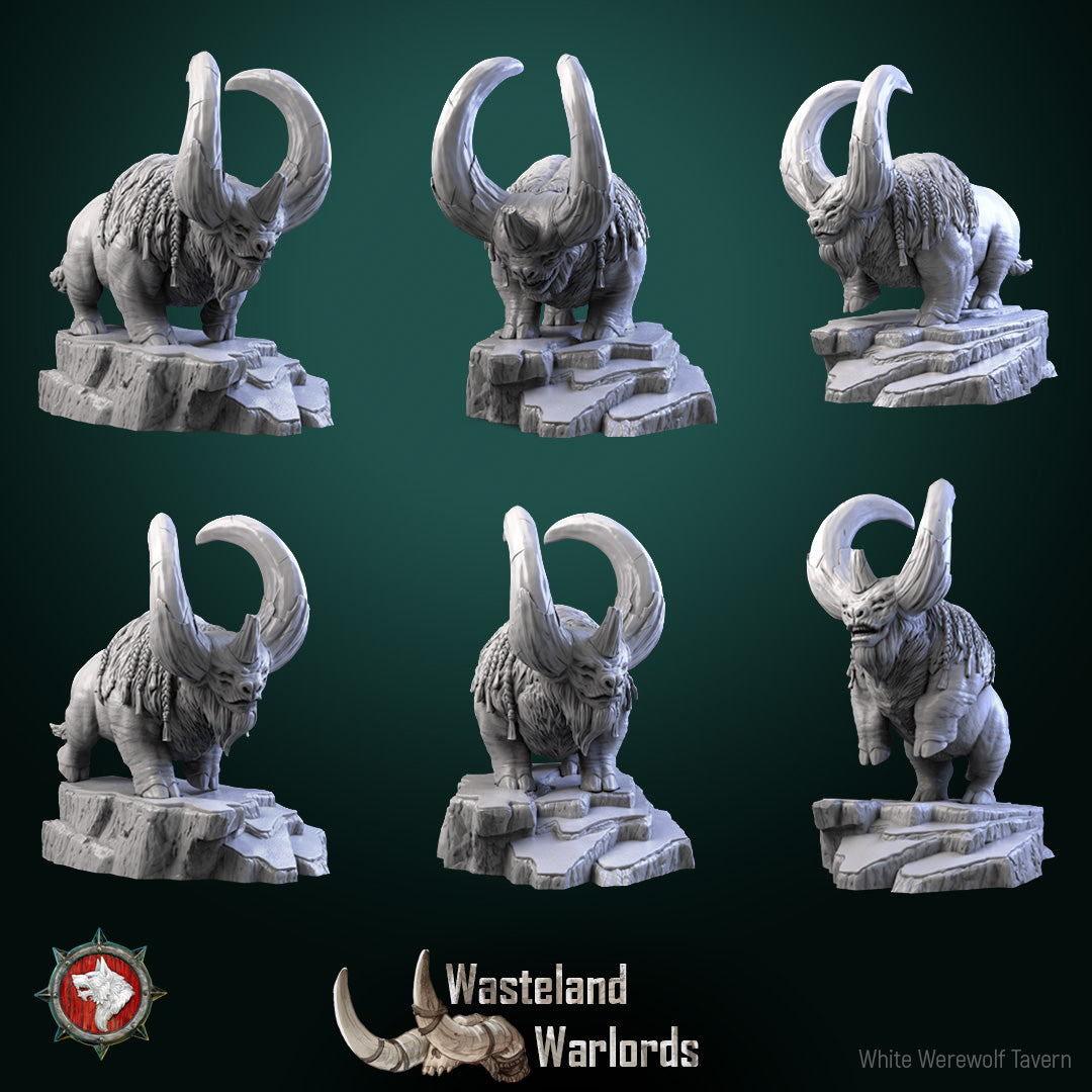 Dungeons and Dragons Models - Wasteland Warlords - Set by White Werewolf Tavern