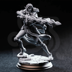 Cerindelia of House Verani High Elf Spellsword - 3D Printed Rogue Character Miniature