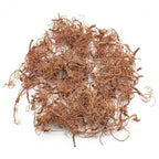 Green Stuff World: Diorama Tree Roots