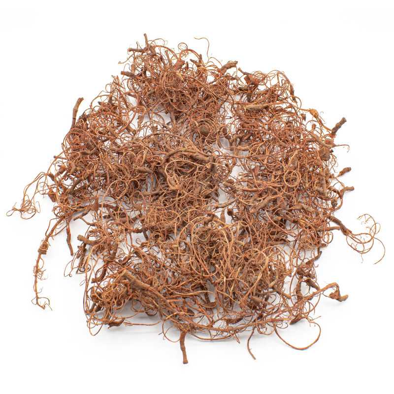 Green Stuff World: Diorama Tree Roots