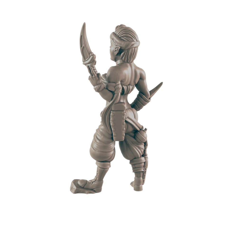 Elf Female Assassion