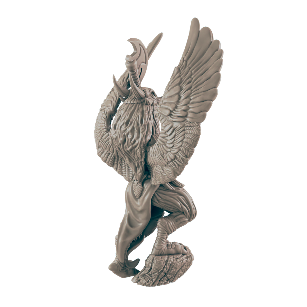 Fighter Birdkin Female