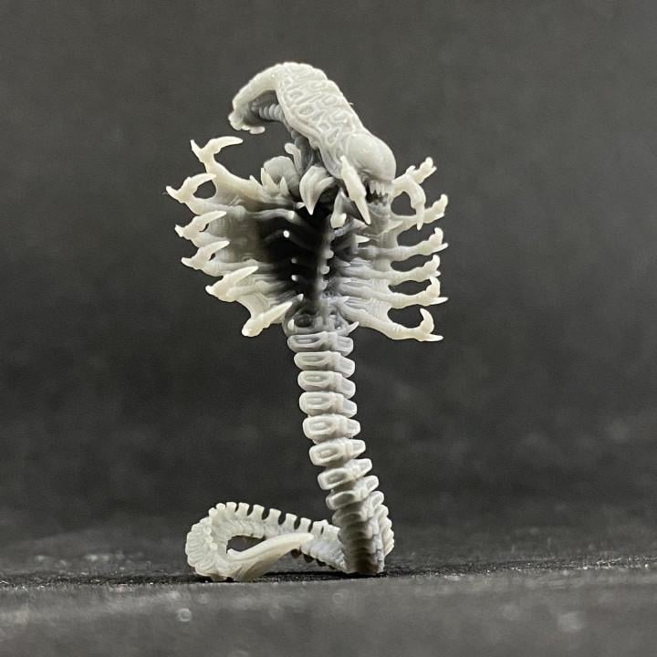 Xenowars Xenomorph Viper Miniature: 32mm Scale Alien Creature for RPG, TTRPG, and Tabletop Gaming