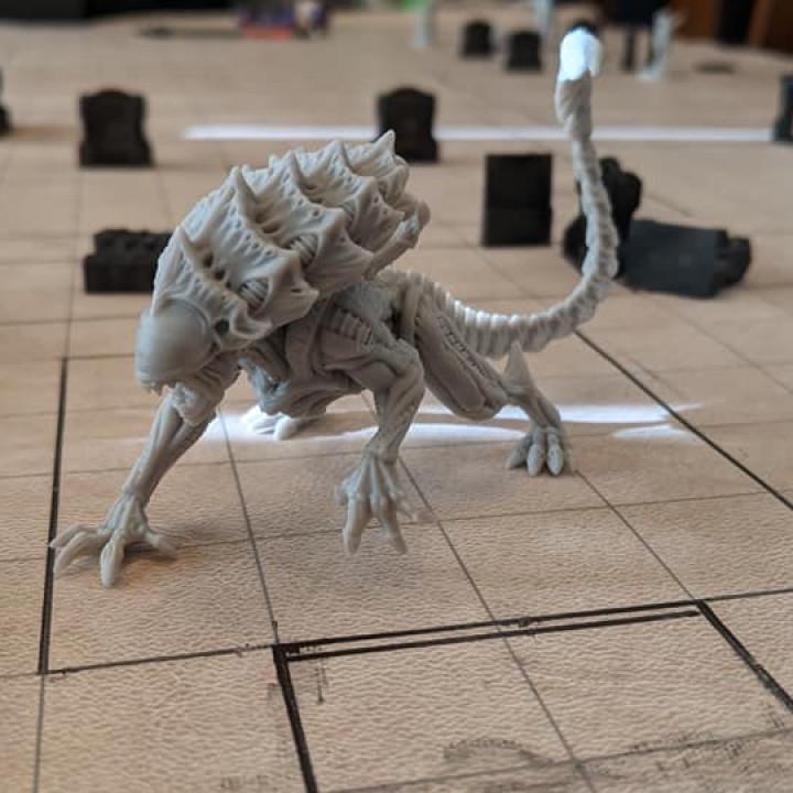 Xenomorph Xeno Brood Ripper Miniature: 32mm Papsikels Alien Figure for RPG, Tabletop Gaming & Collection