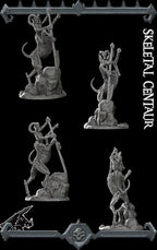 Skeletal Centaur | Undead Collection | Rocket Pig Games | Miniatures for tabletop games. 28mm to 32mm Resin for RPG, D&D, TTRPG