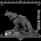 Drake Hound | Dragonkin Collection | Rocket Pig Games | Miniatures for tabletop games. 28mm to 32mm Resin for RPG, D&D, TTRPG