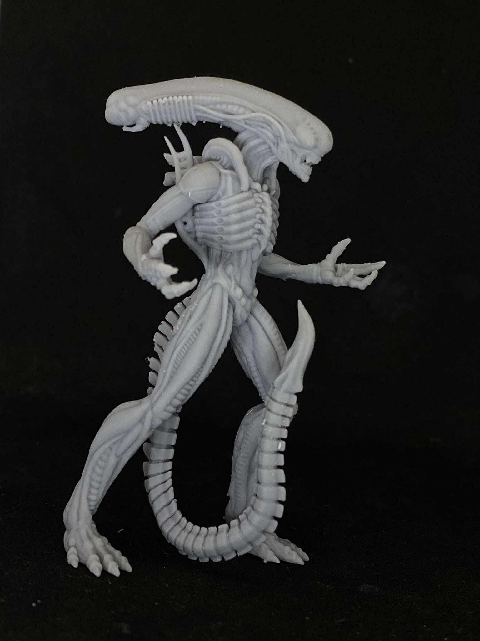 Aliens Vs Humans - Dark Space I Xeno Ultramorph, Papsikels, 32mm Mini