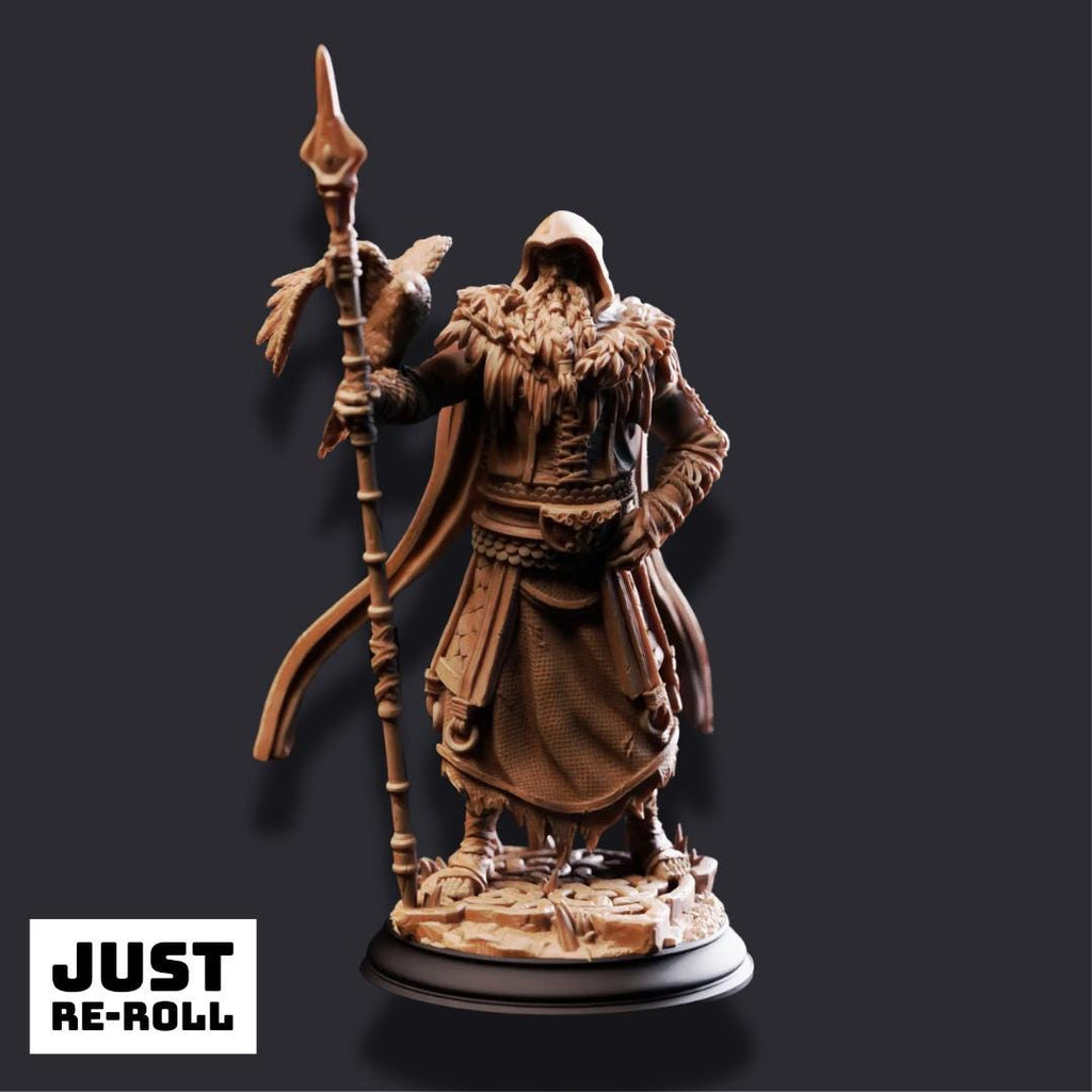 The One Eyed Wanderer - 3D Printed Druid Character Miniature