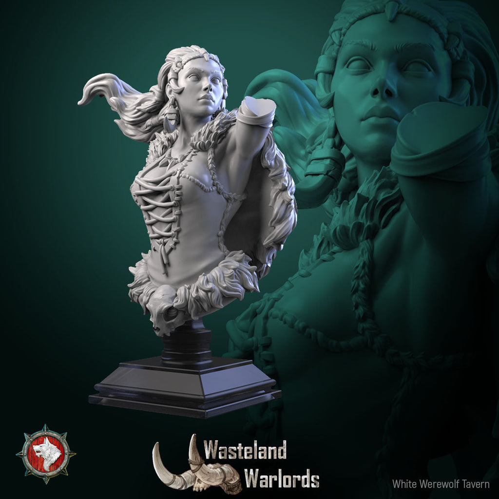 Dungeons and Dragons Models - Wasteland Warlords - Set by White Werewolf Tavern