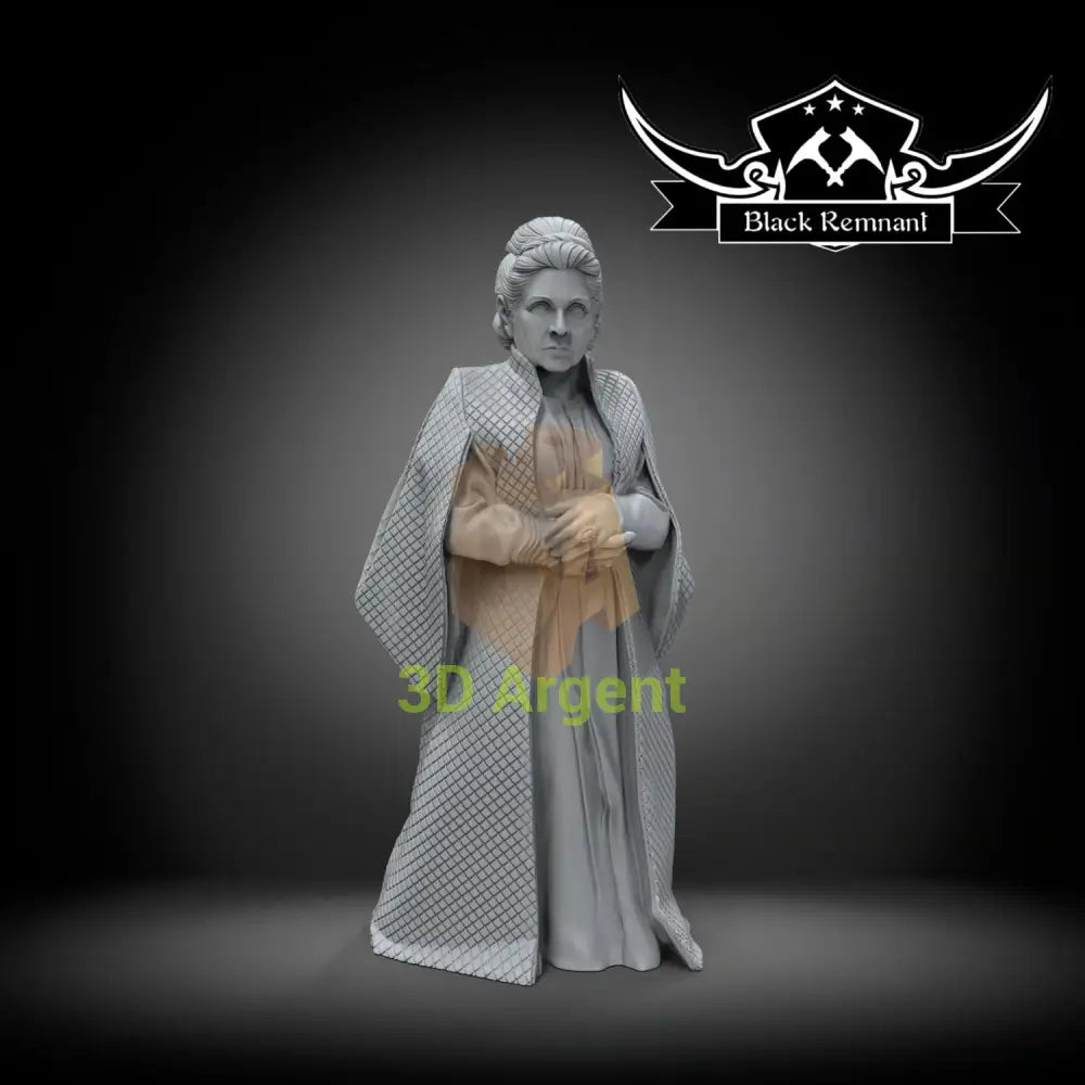 Leia Organa (Older Version) – Star Wars – Black Remnant 3D Printed Resin Miniature