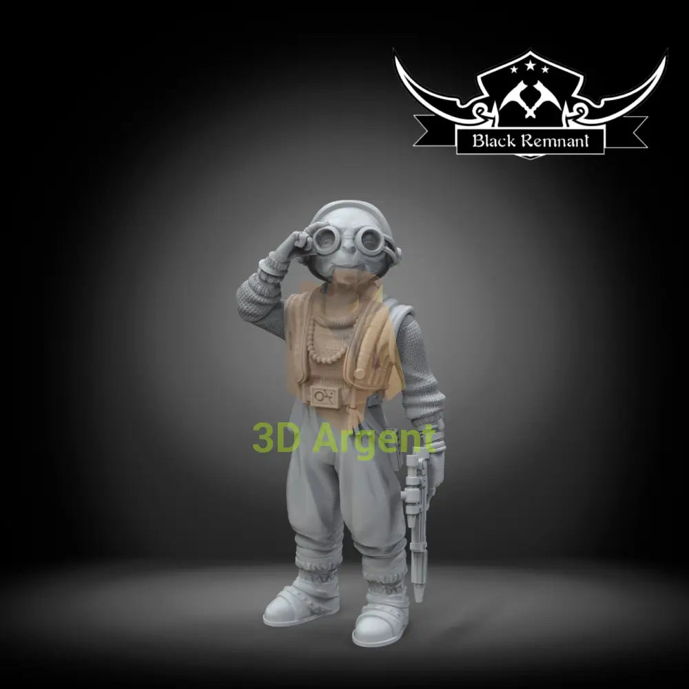 Maz Kanata  Star Wars Legion compatible 3D Printed Resin Miniatures