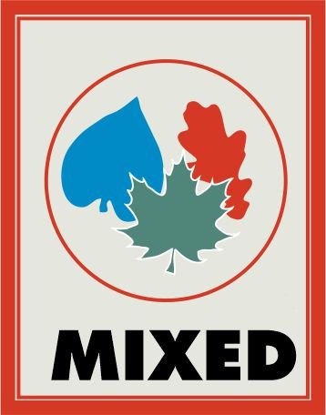 Green Stuff World: Miniature Leaf Punch - Maple, Sycamore, Poplar Mix