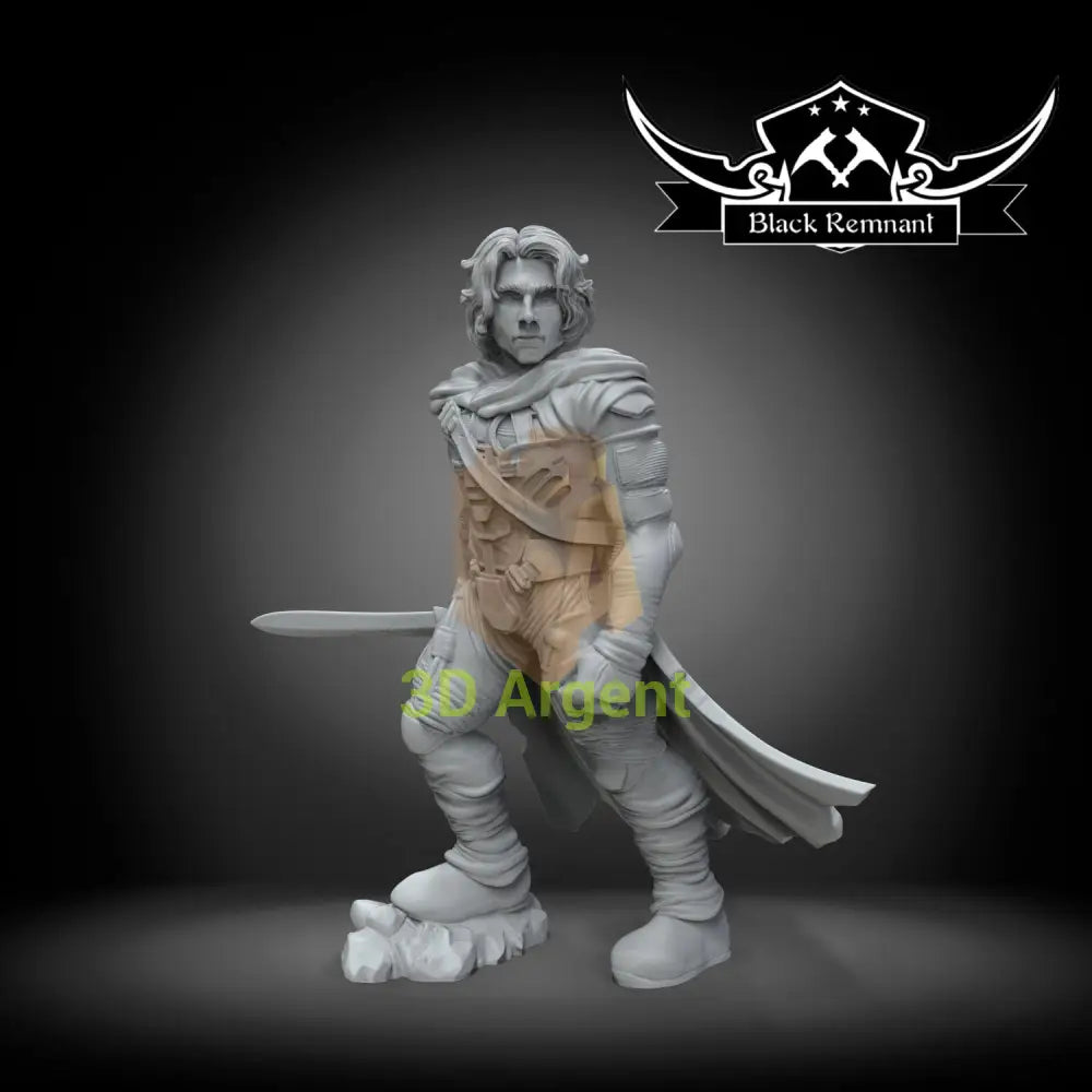Paul Atréides Dune -  Stargrave D&D 3D Printed Resin Miniatures