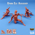 Dark Elf Assassin B | Skies of Sordane | Fantasy Miniature | Arcane Minis