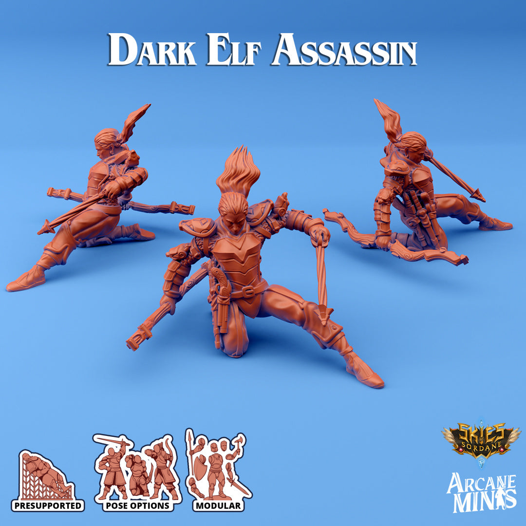 Dark Elf Assassin B | Skies of Sordane | Fantasy Miniature | Arcane Minis