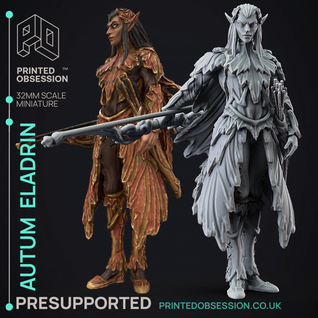 Faywild Vs Shadowfell 2 Miniatures | Fantasy Miniature | Printed Obsession