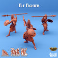 Elf Fighter D | Skies of Sordane | Fantasy Miniature | Arcane Minis