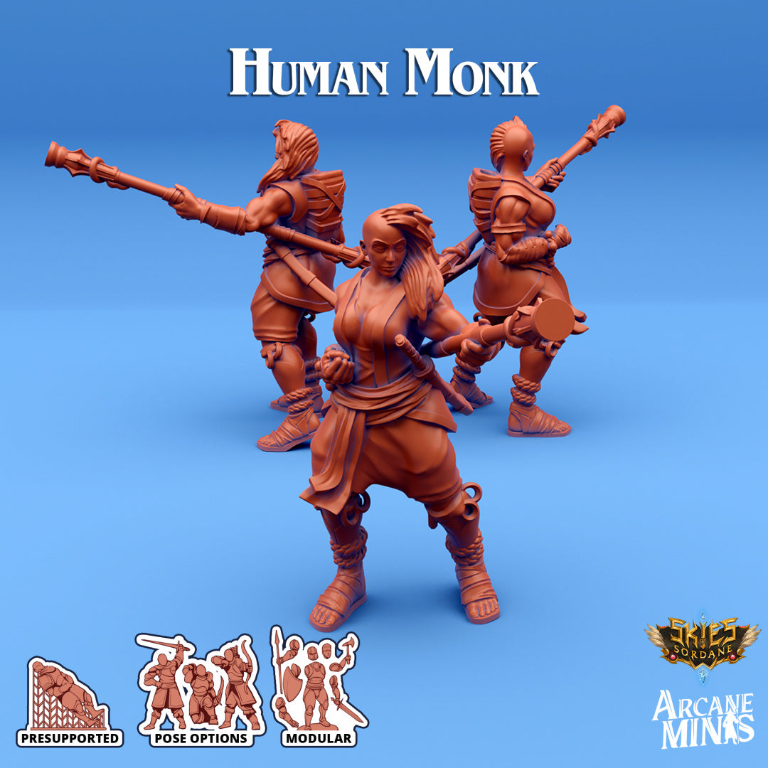 Human Monk A | Skies of Sordane | Fantasy Miniature | Arcane Minis ...