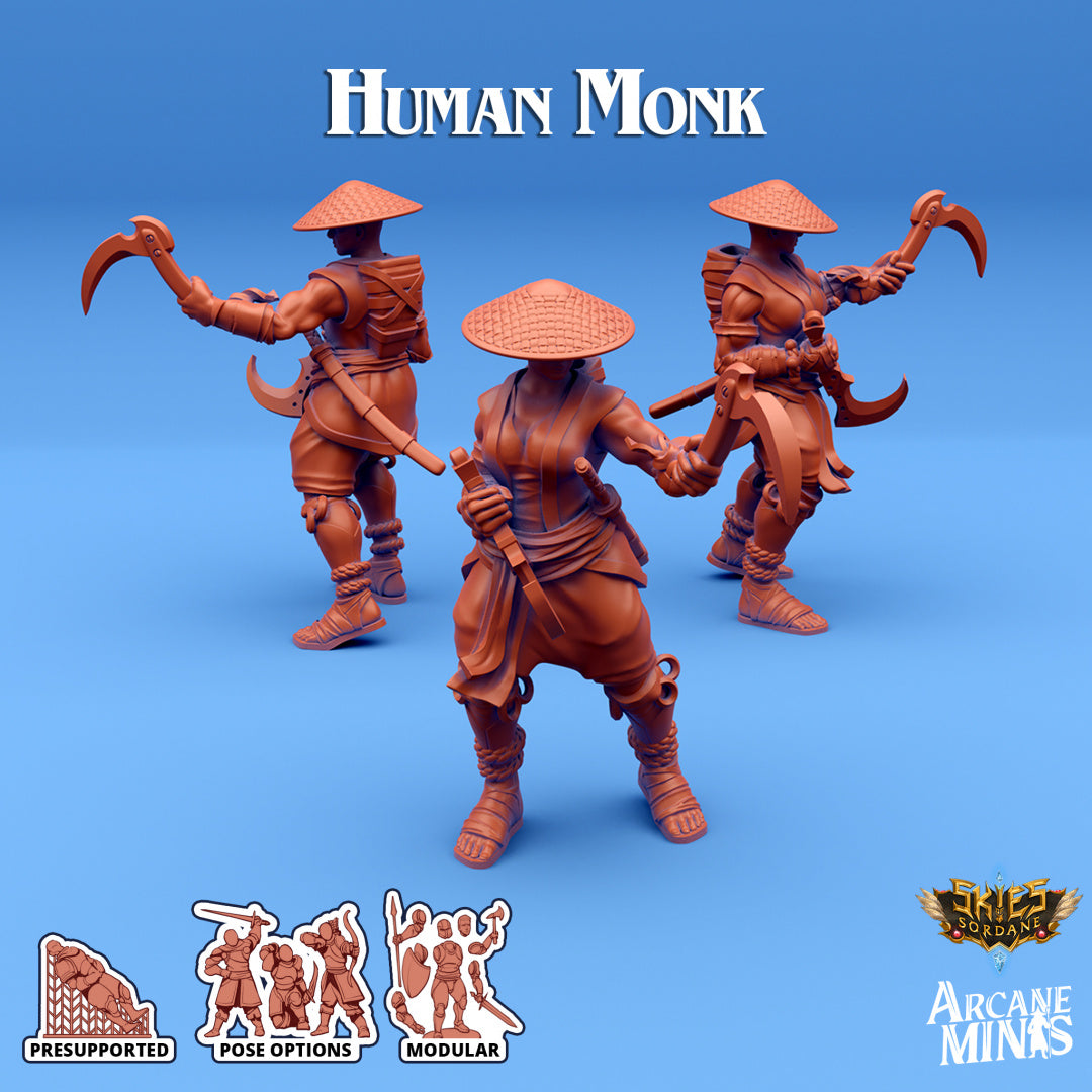 Human Monk C | Skies of Sordane | Fantasy Miniature | Arcane Minis