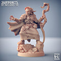 Nanaari the Wise | Scourgeland Survivors | Fantasy D&D Miniature | Artisan Guild