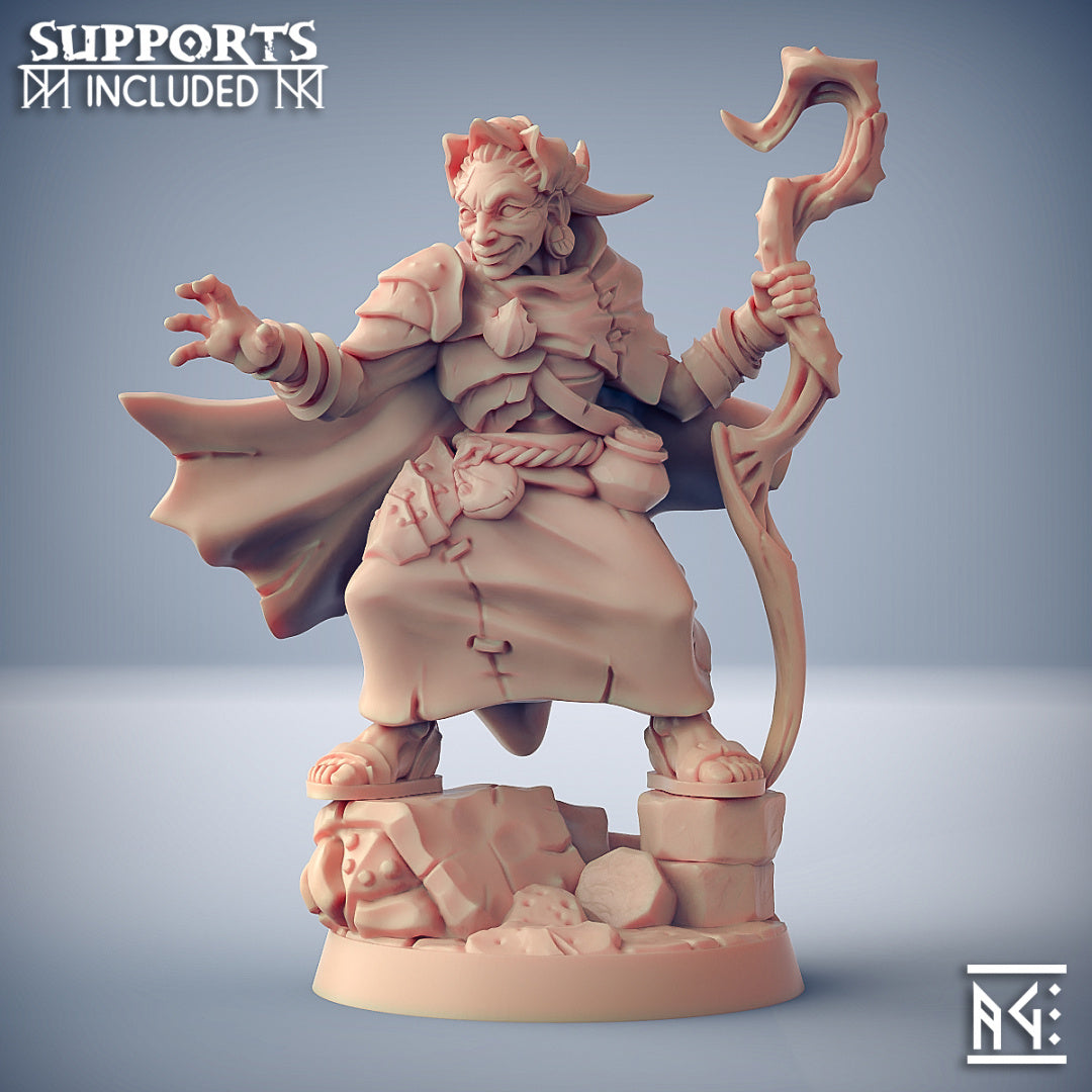 Nanaari the Wise | Scourgeland Survivors | Fantasy D&D Miniature | Artisan Guild