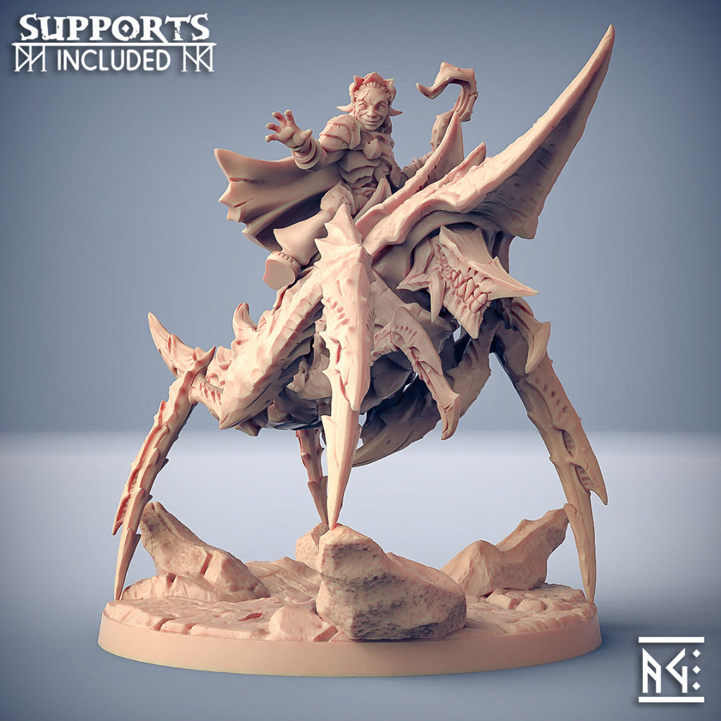 Scourgeland Survivor Miniatures (Full Set) | Fantasy D&D Miniature | Artisan Guild