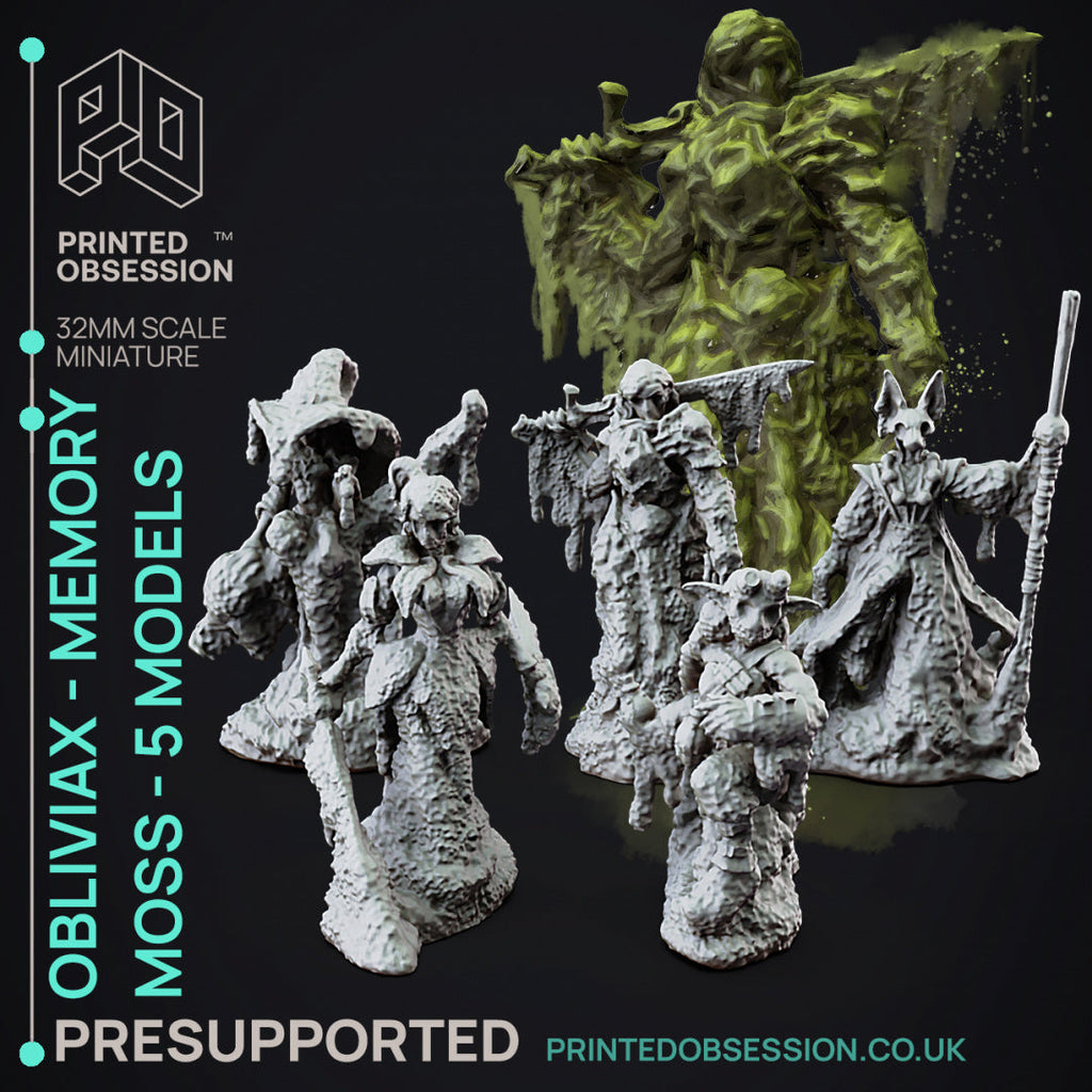 Faywild Vs Shadowfell 2 Miniatures | Fantasy Miniature | Printed Obsession