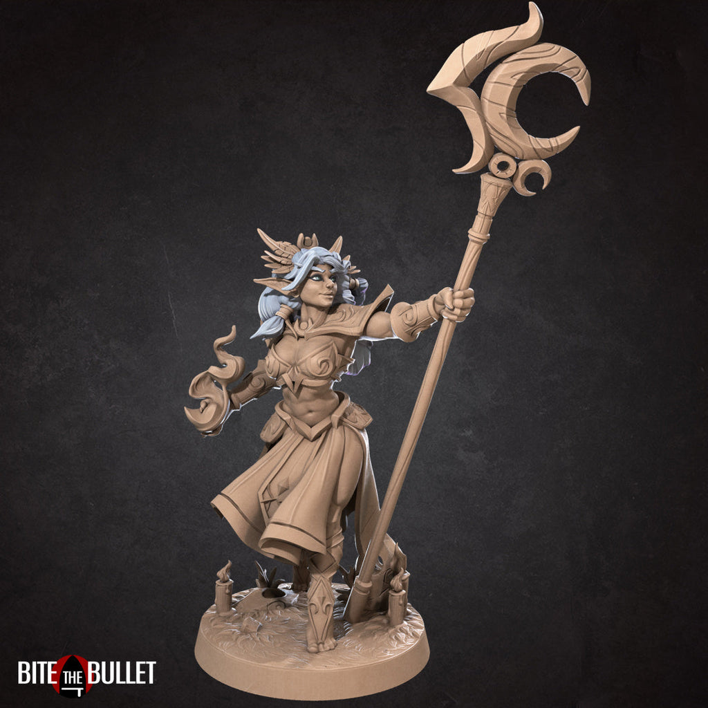 Dark Elf Miniatures | Fantasy Miniature | Bite the Bullet