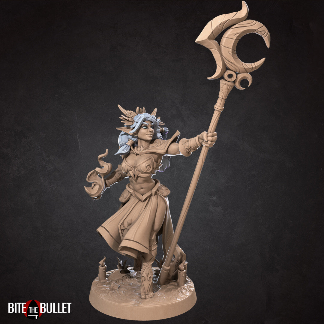 Dark Elf Miniatures | Fantasy Miniature | Bite the Bullet