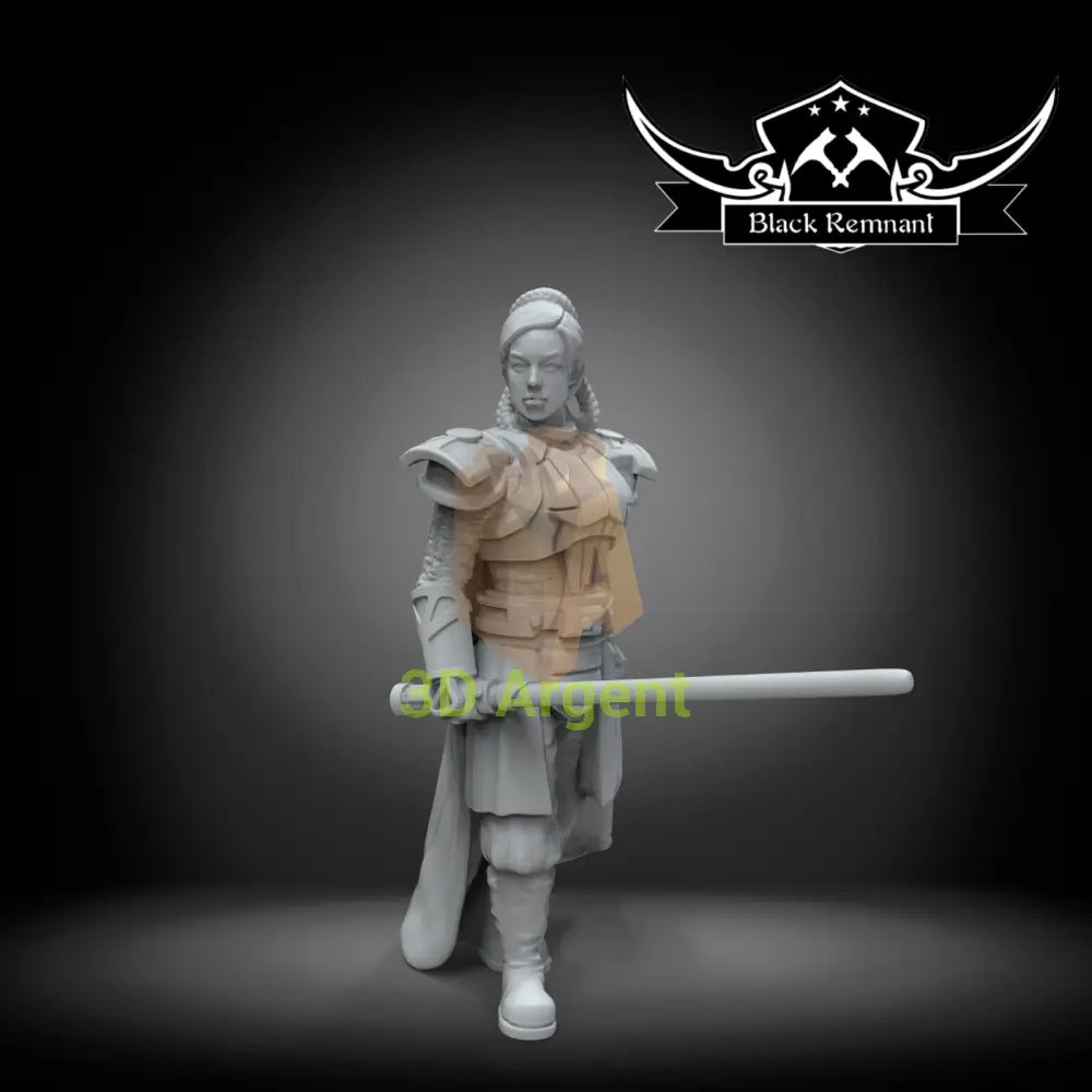 Siegel Dare - Star Wars Legion compatible 3D Printed Resin Miniatures